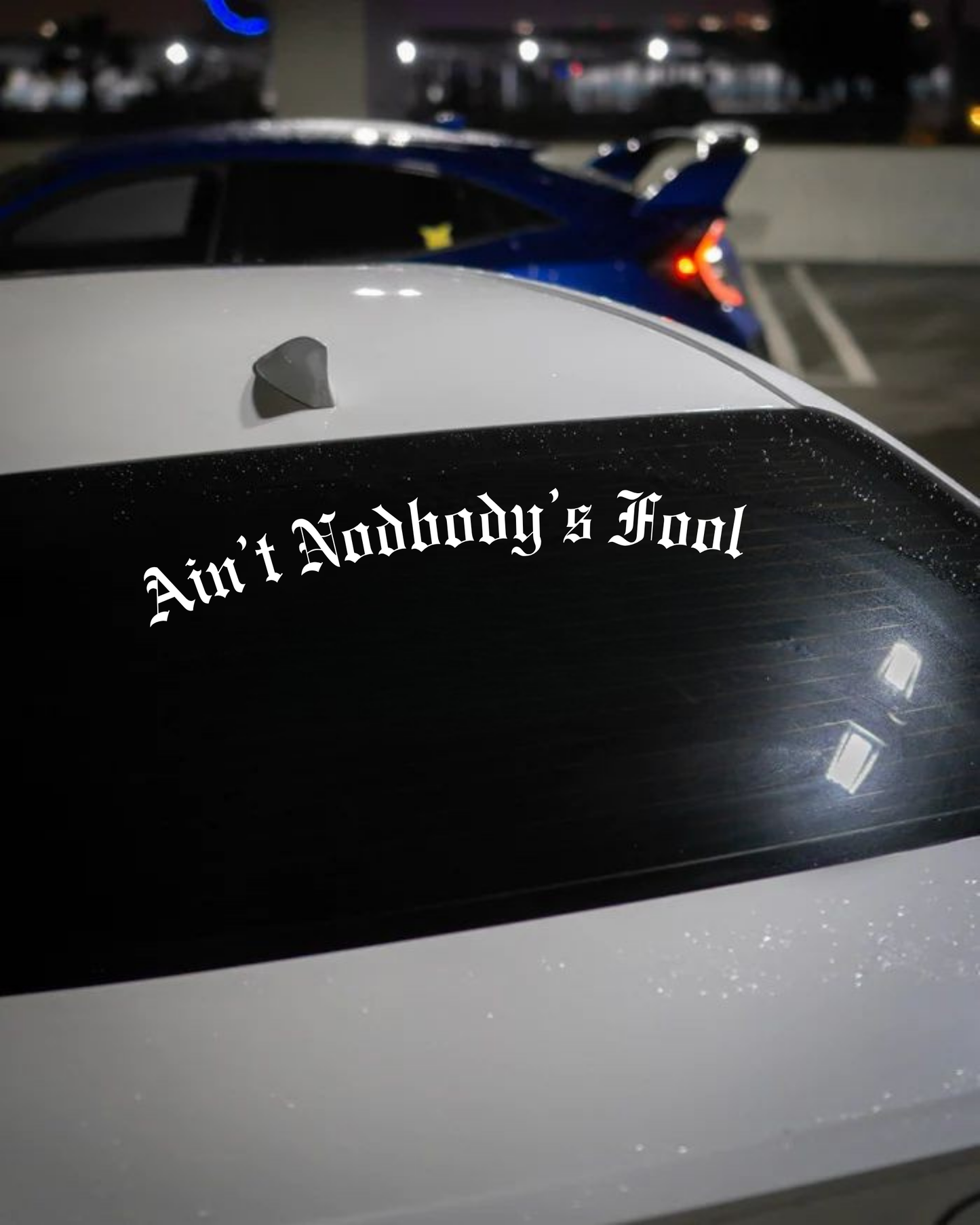 Schriftstil-Muster Ain’t Nodbody’s Fool