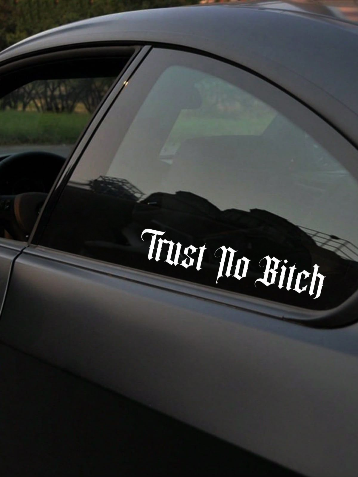 Schriftstil-Muster - Trust No Bitch