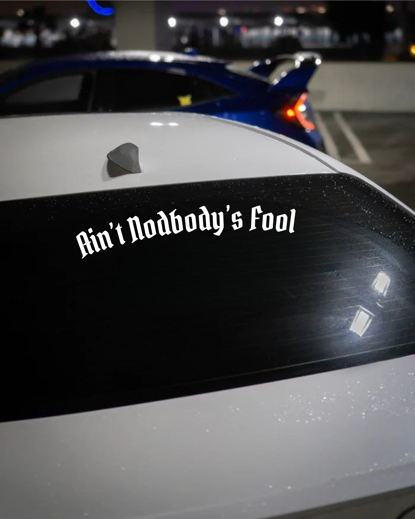 Schriftstil-Muster Ain’t Nodbody’s Fool