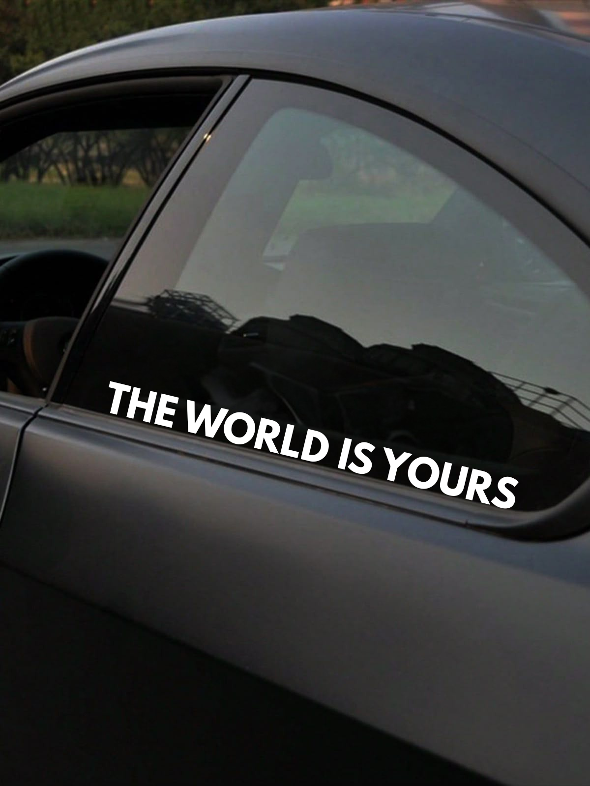 Schriftstil-Muster - THE WORLDS IS YOURS