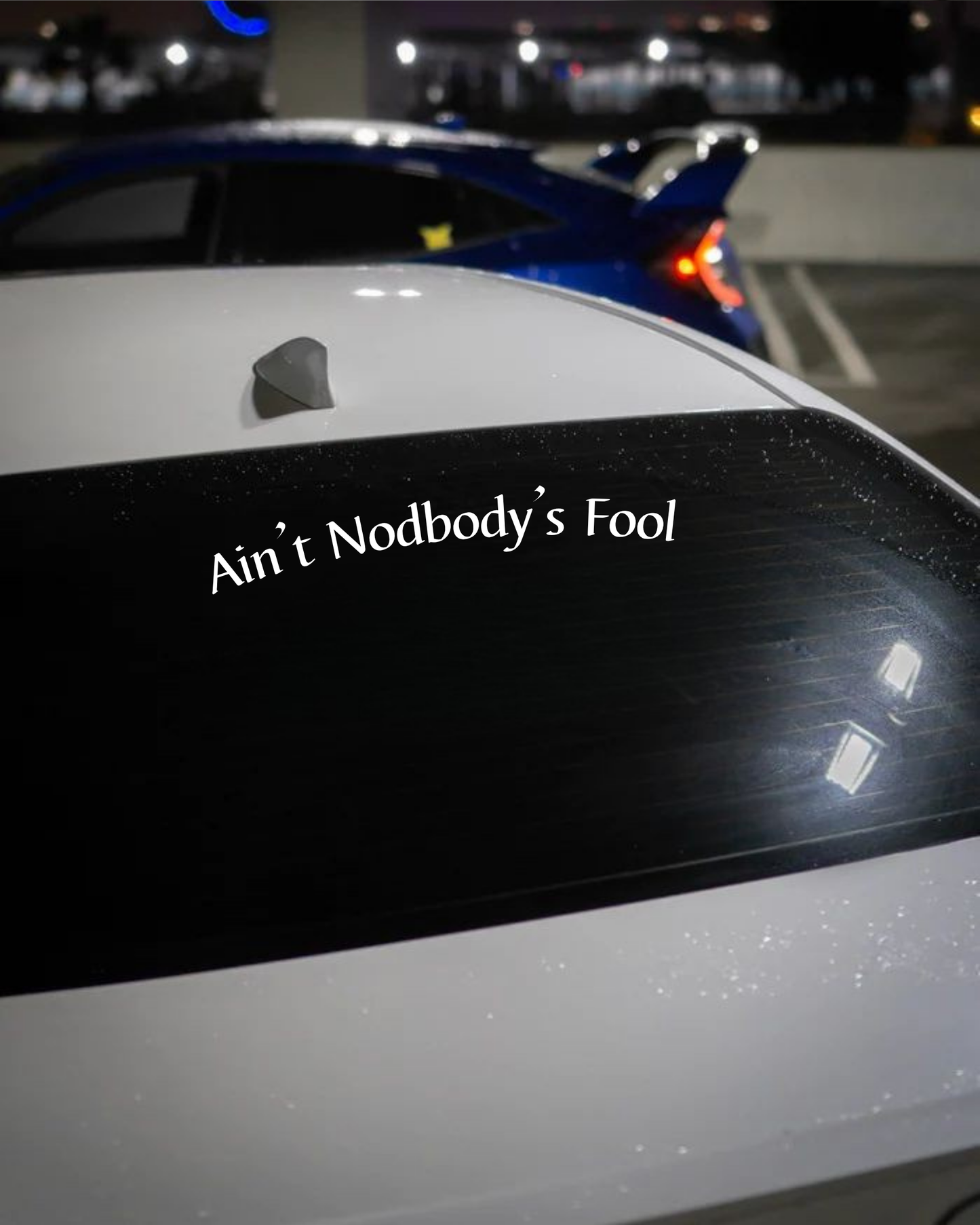 Schriftstil-Muster Ain’t Nodbody’s Fool
