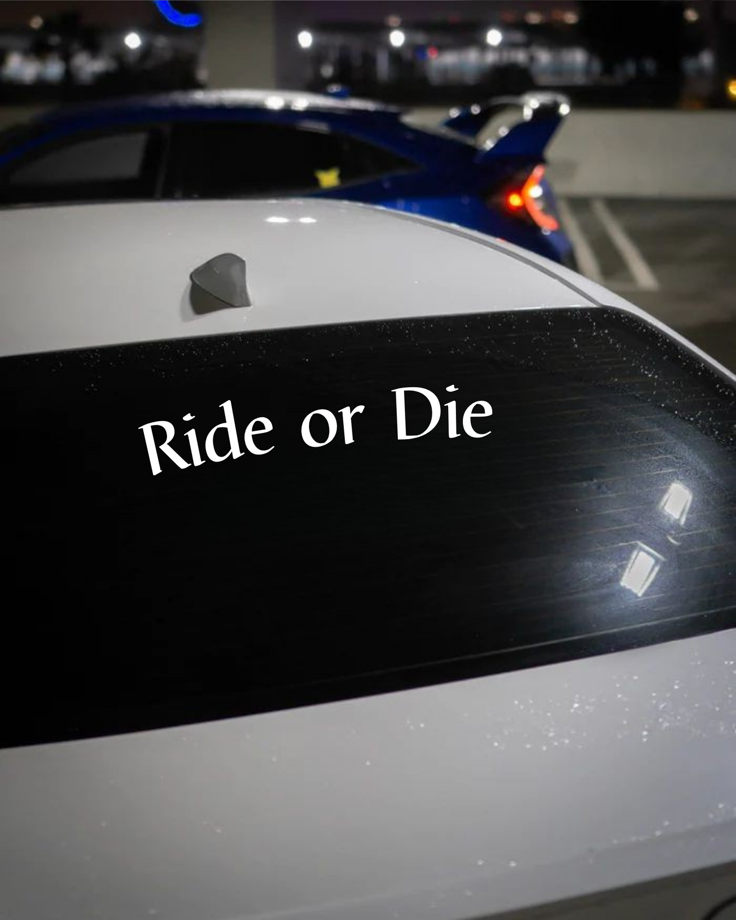Schriftstil-Muster Ride or Die