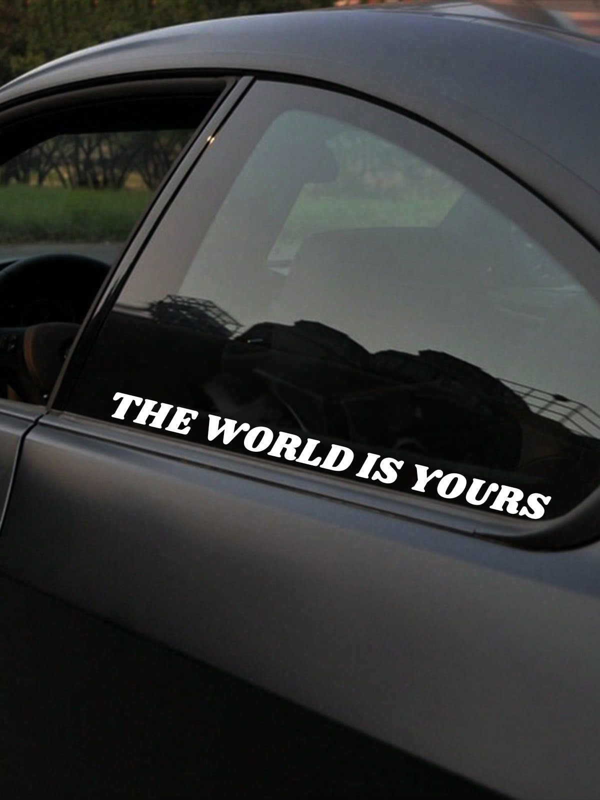 Schriftstil-Muster - THE WORLDS IS YOURS