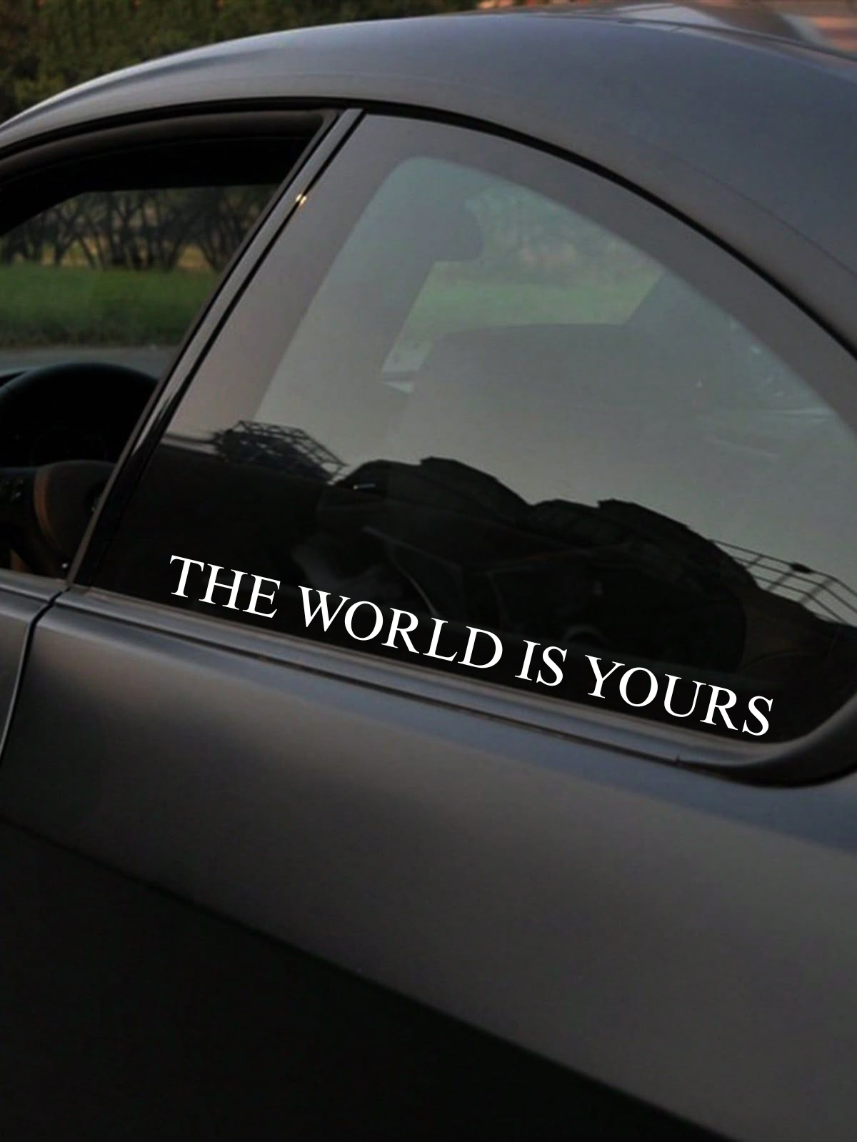 Schriftstil-Muster - THE WORLDS IS YOURS