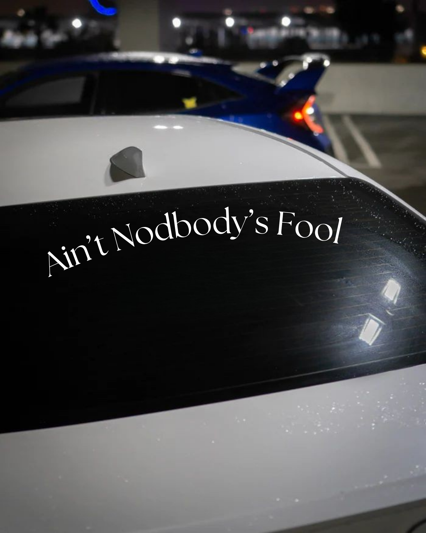 Schriftstil-Muster Ain’t Nodbody’s Fool