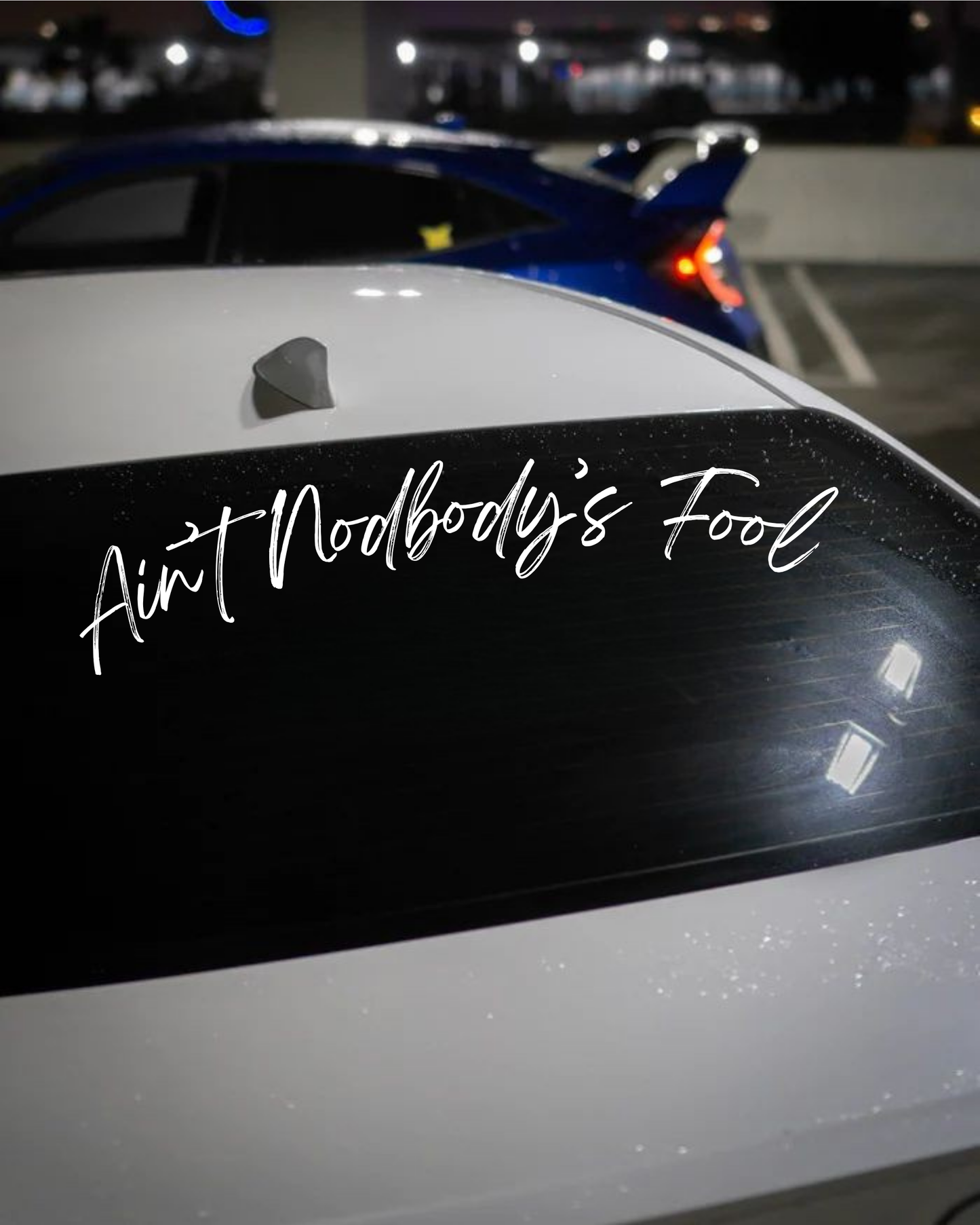 Schriftstil-Muster Ain’t Nodbody’s Fool