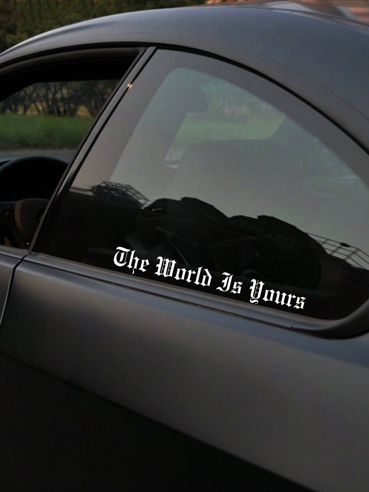 Schriftstil-Muster - THE WORLDS IS YOURS