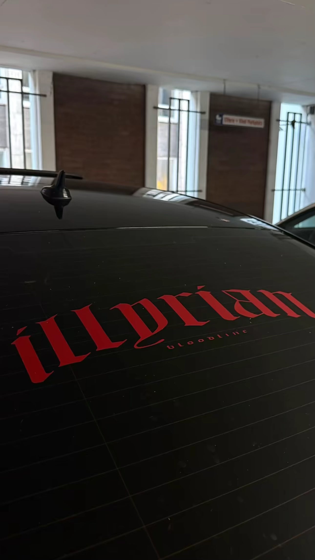 Sticker-Motiv - Illyrian Bloodline